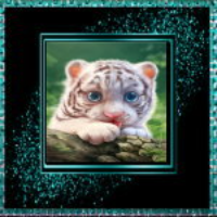DJ White Tiger